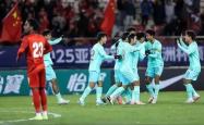 足球锦标赛引爆热烈气氛，球迷震撼不已的简单介绍